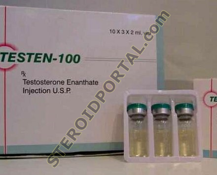 Testen-100 (Testosterone Enantate)