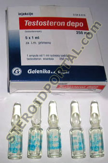 Testosteron Depo, 5x1ml, 250mg/1ml, ICN Galenika