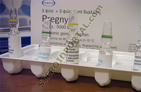 Pregnyl 3 x 5000 IU in amp & 3 x 1ml amp of water solution (HCG - Human chorionic gonadotropin) Organon, Greece