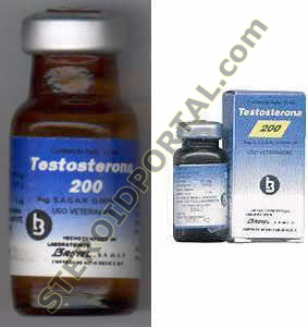 Testosterona 200 Drug Profile