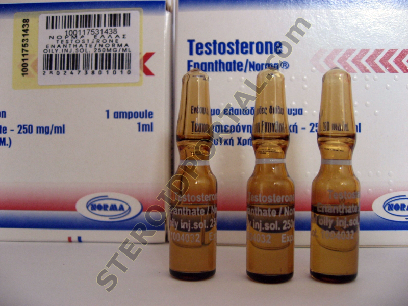 Testosterone Enanthate ® 250mg/1ml Norma